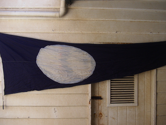 Full-size image