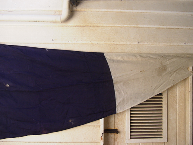 Full-size image