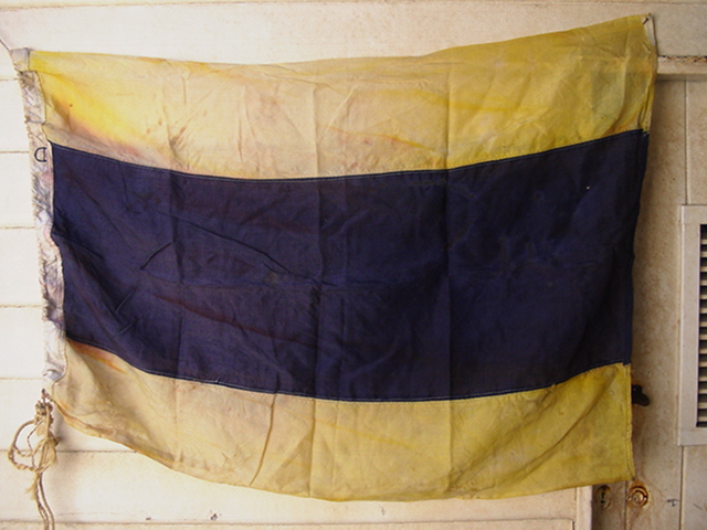 Full-size image