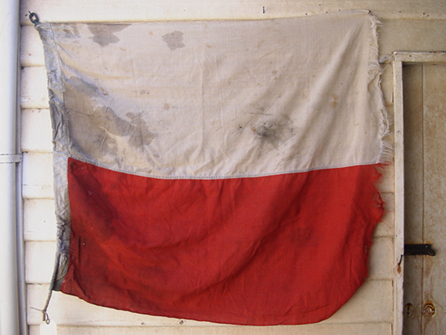 Full-size image