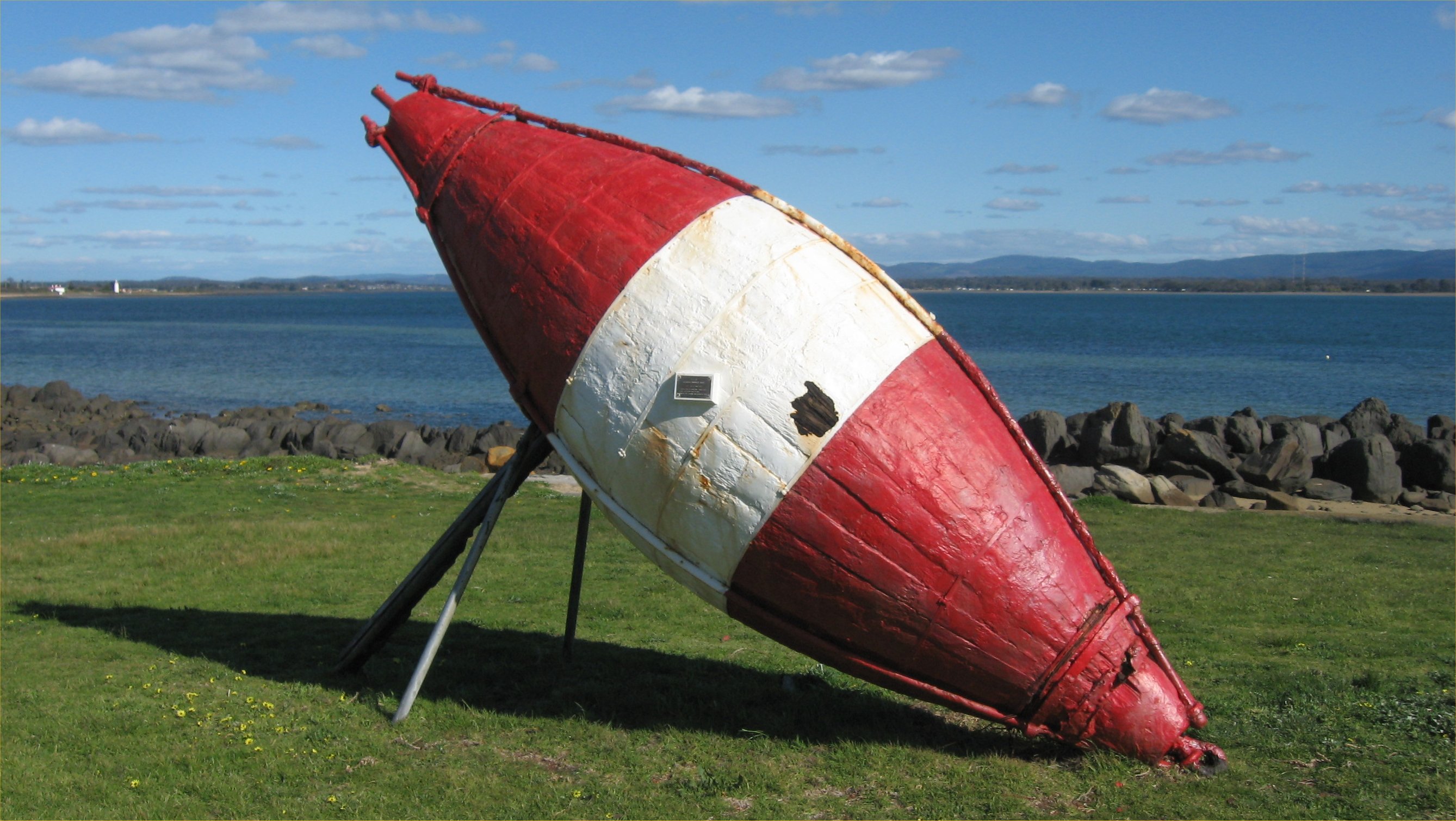Full-size image