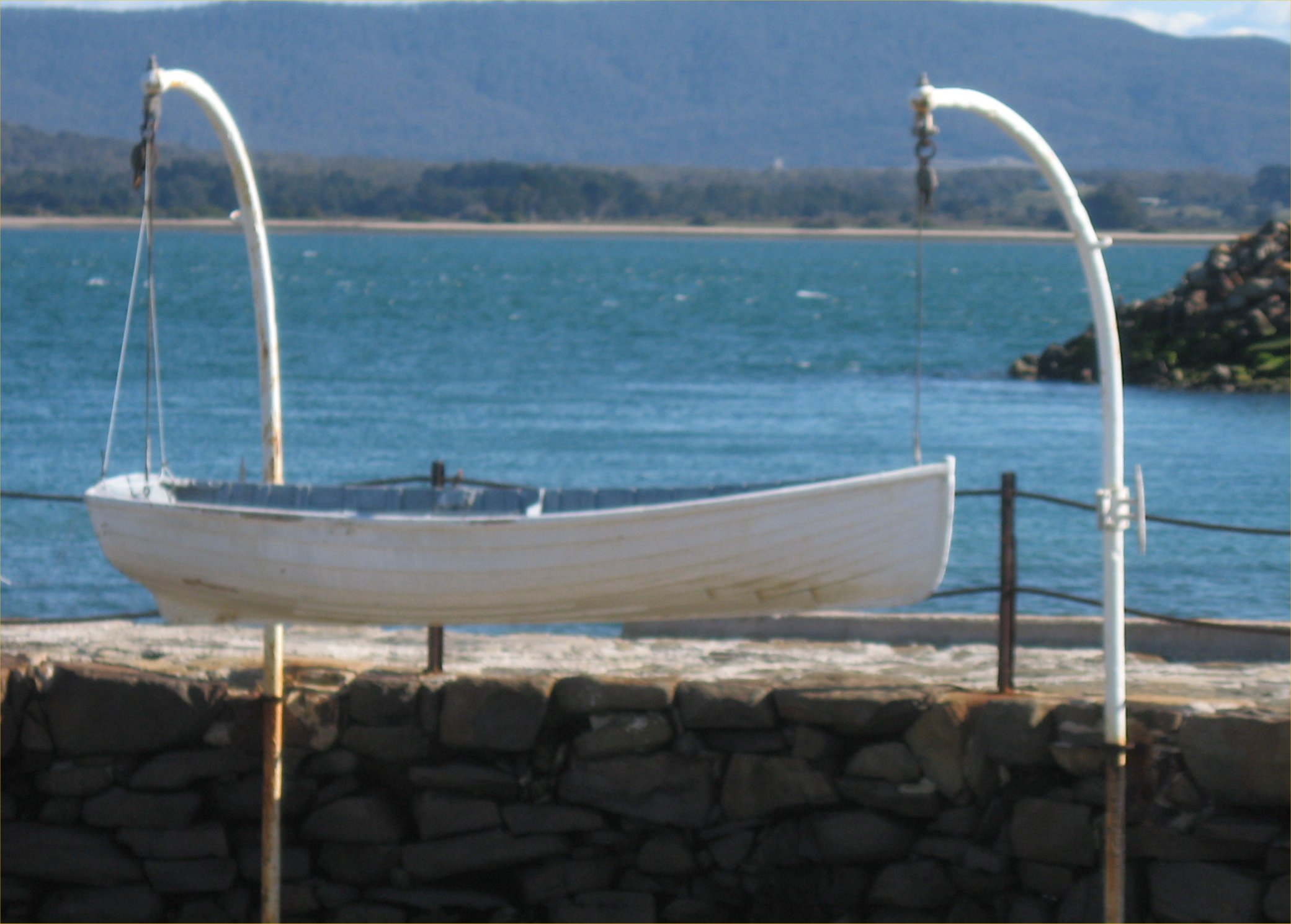 Full-size image