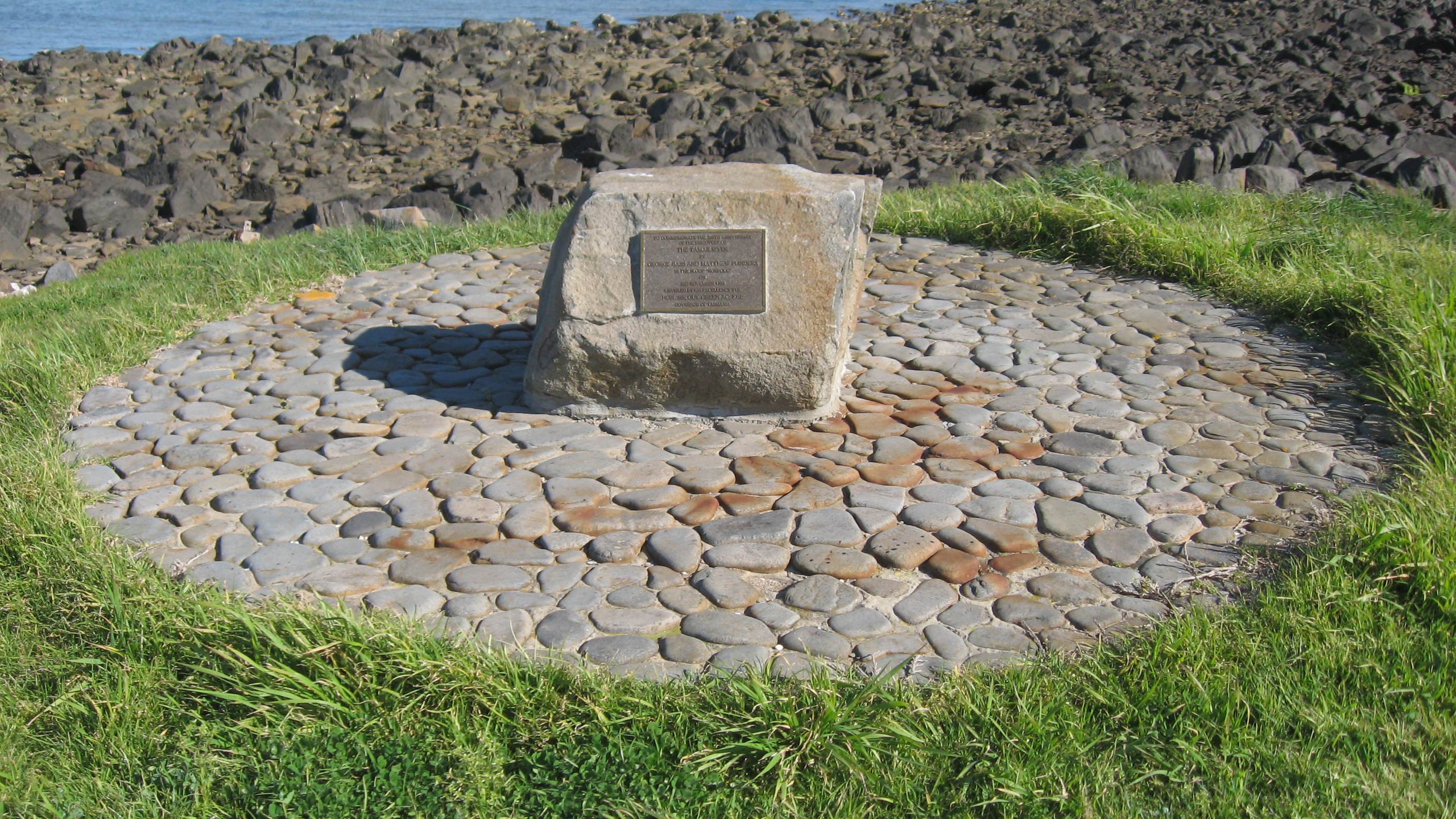 Full-size image