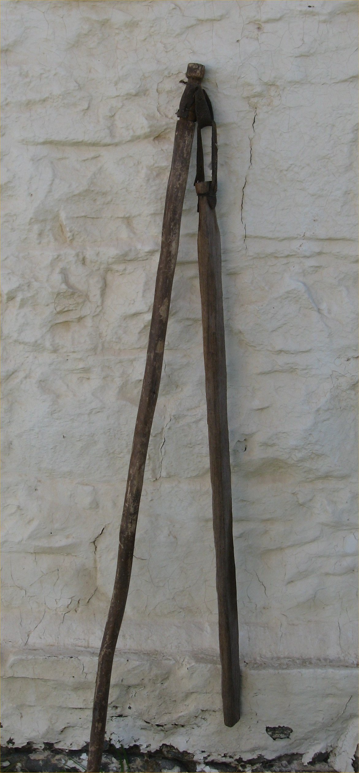 Full-size image
