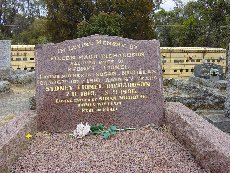 Full-size image