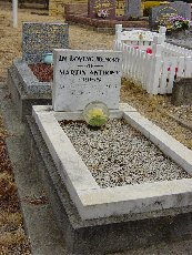 Full-size image