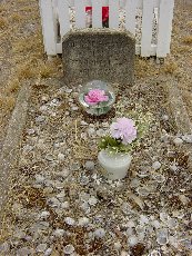 Full-size image