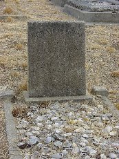 Full-size image