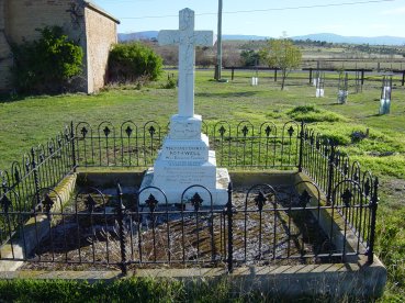 Full-size image
