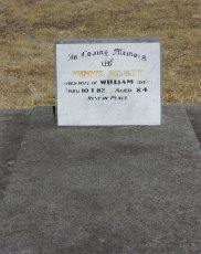 Full-size image