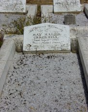 Full-size image