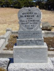 Full-size image