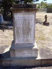 Full-size image