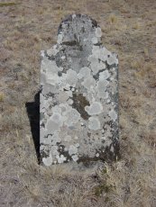 Full-size image