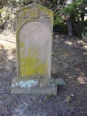 Full-size image