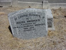 Full-size image