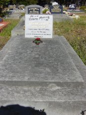 Full-size image