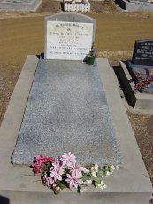 Full-size image