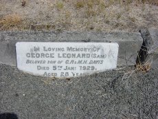 Full-size image