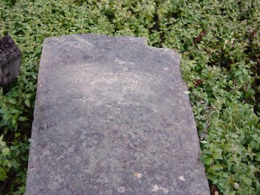 Full-size image