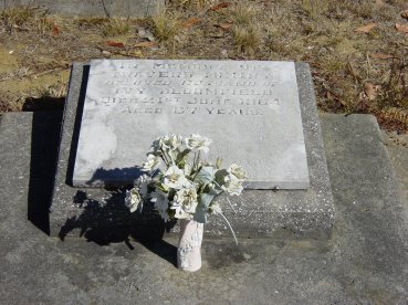 Full-size image