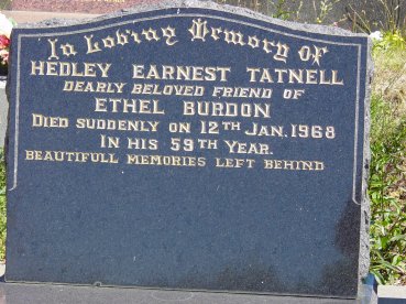 Full-size image