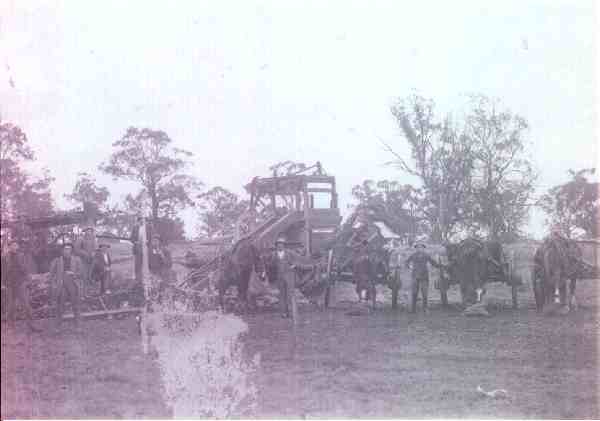 Full-size image