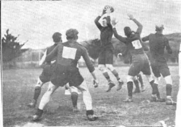 Full-size image