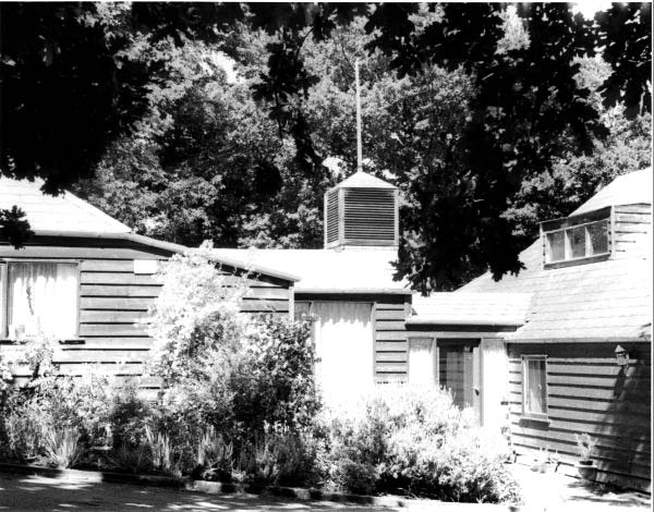 Full-size image