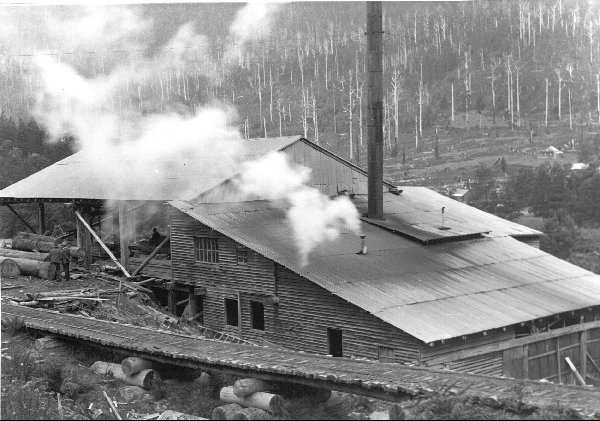 Full-size image