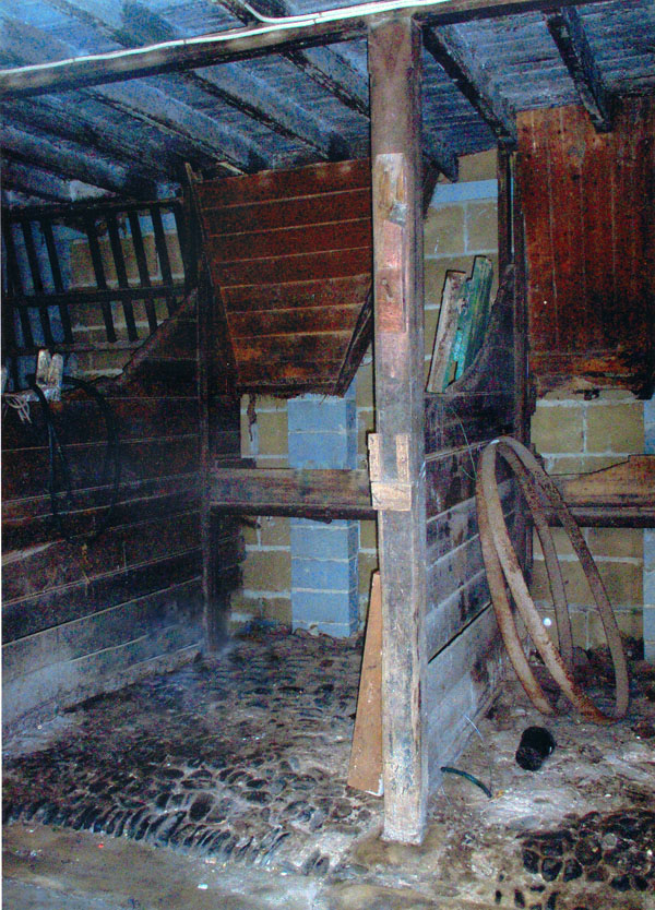 Full-size image