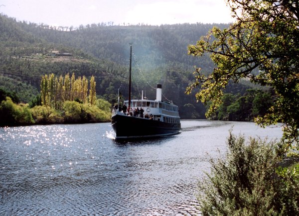 Full-size image