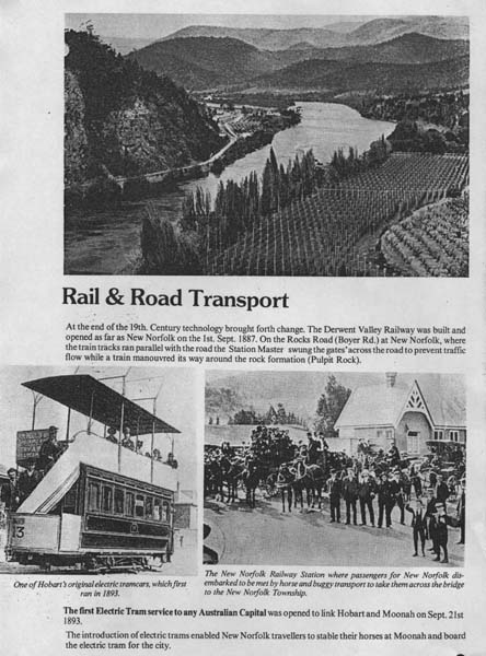 Full-size image