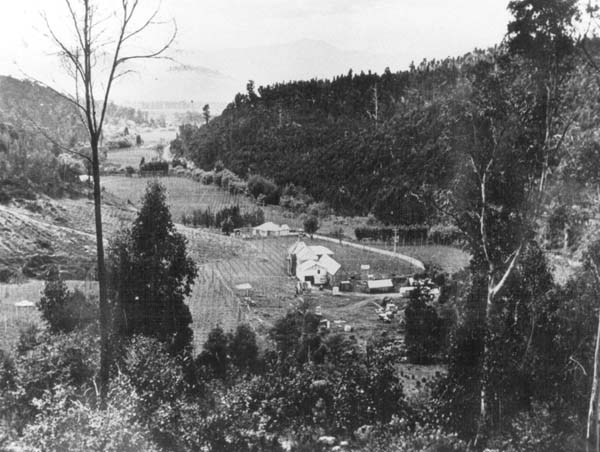 Full-size image