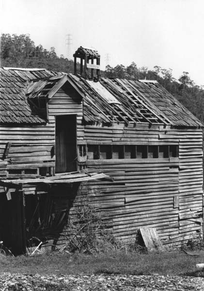 Full-size image