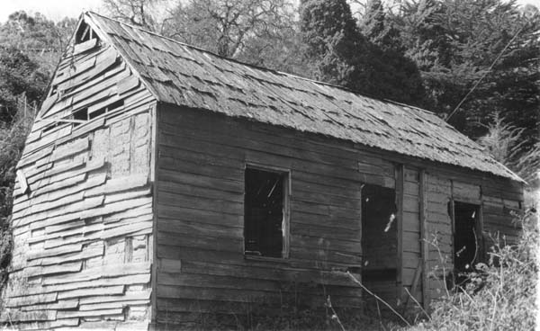 Full-size image
