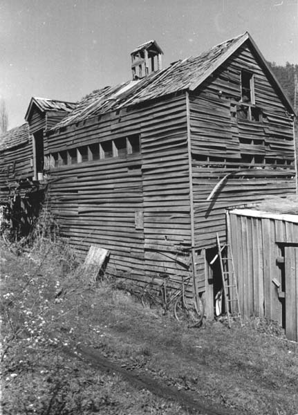 Full-size image