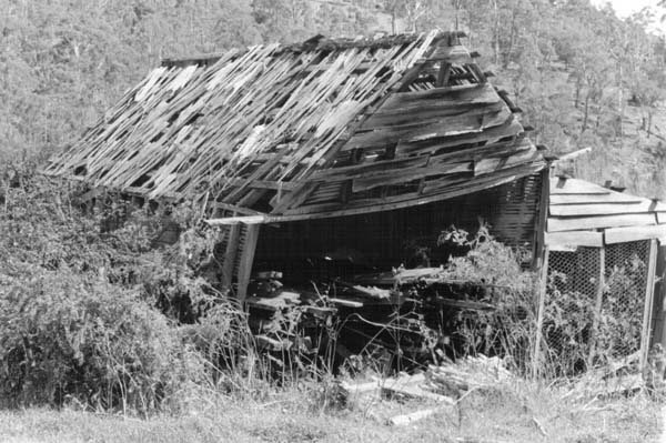 Full-size image