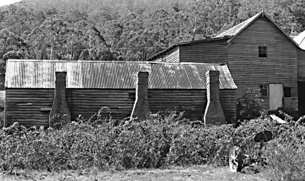 Full-size image