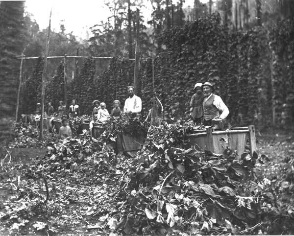 Full-size image
