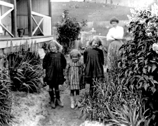 Full-size image