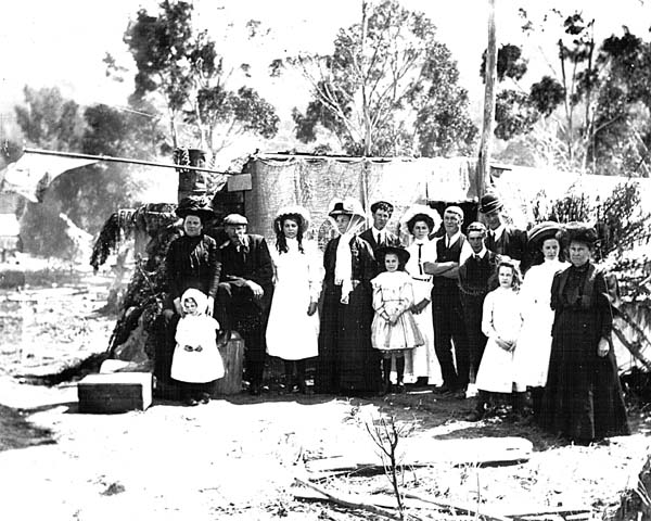 Full-size image