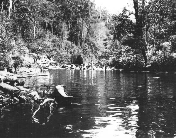Full-size image