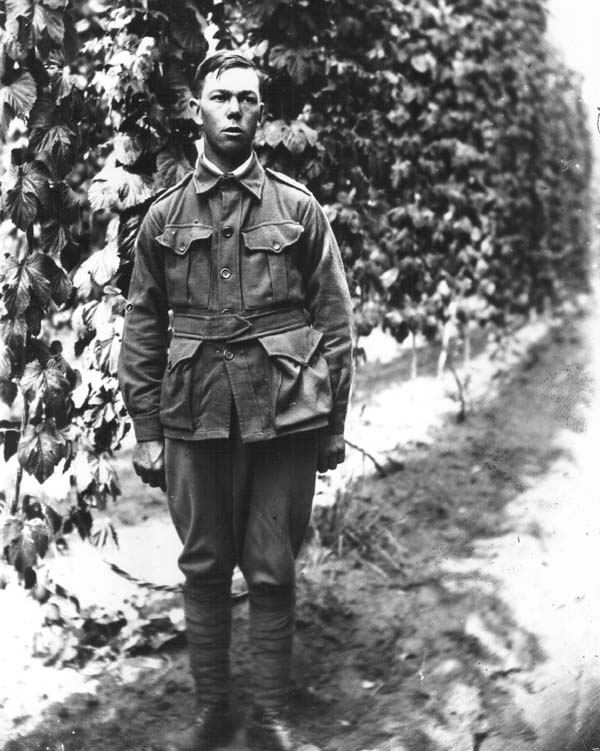 Full-size image
