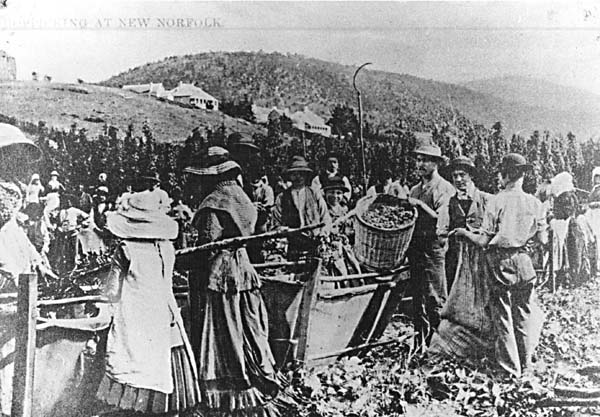 Full-size image