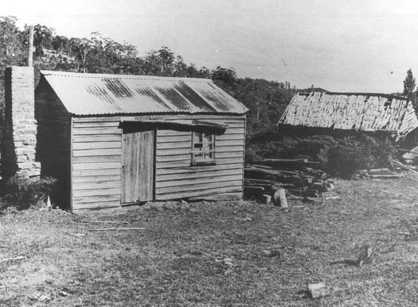 Full-size image