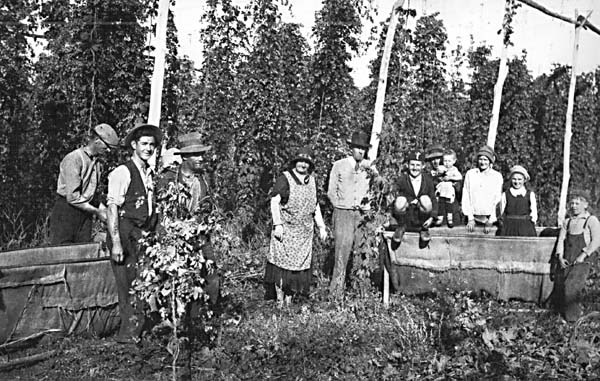 Full-size image