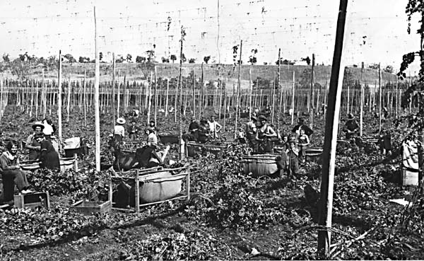 Full-size image