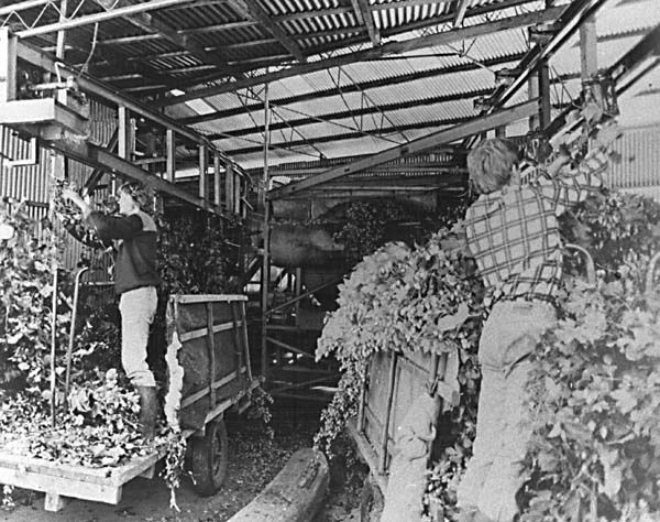Full-size image