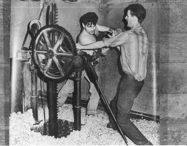 Full-size image